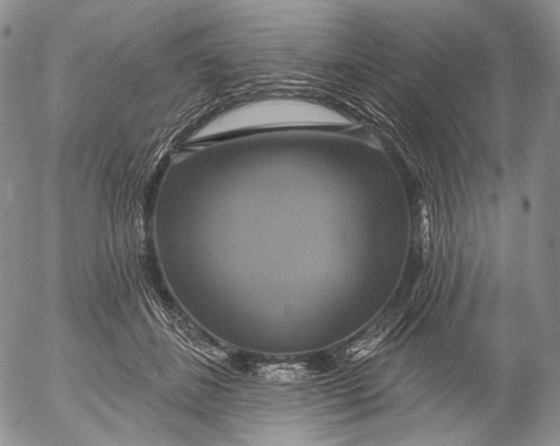 X0000052980508200507291555