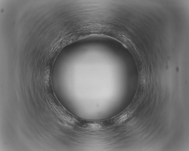 X0000052980509200507291555