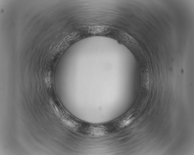 X0000052980510200507291555