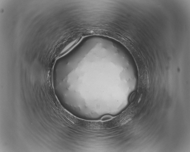 X0000052980511200507291555