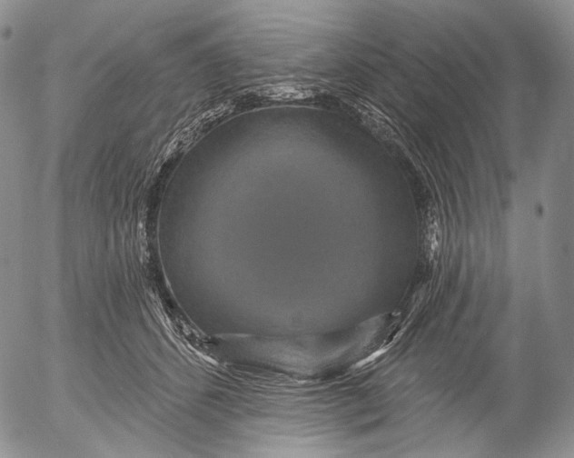 X0000052980512200507291555