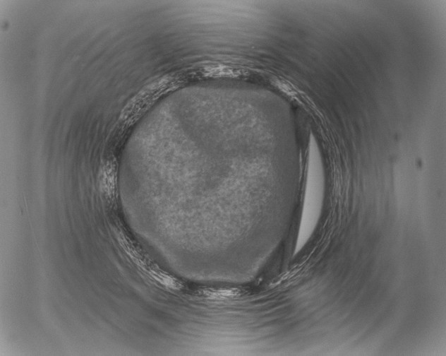 X0000052980513200507291555