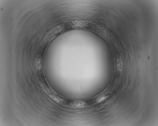 X0000052980514200507291555