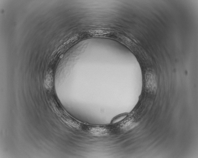 X0000052980515200507291555