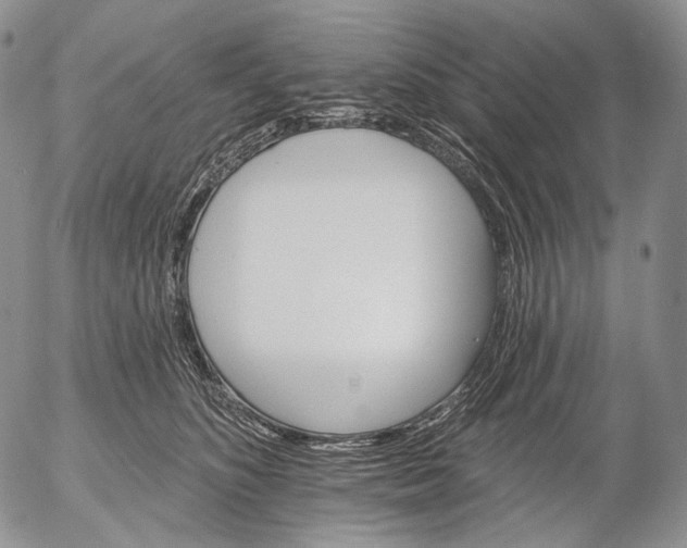 X0000052980516200507291555