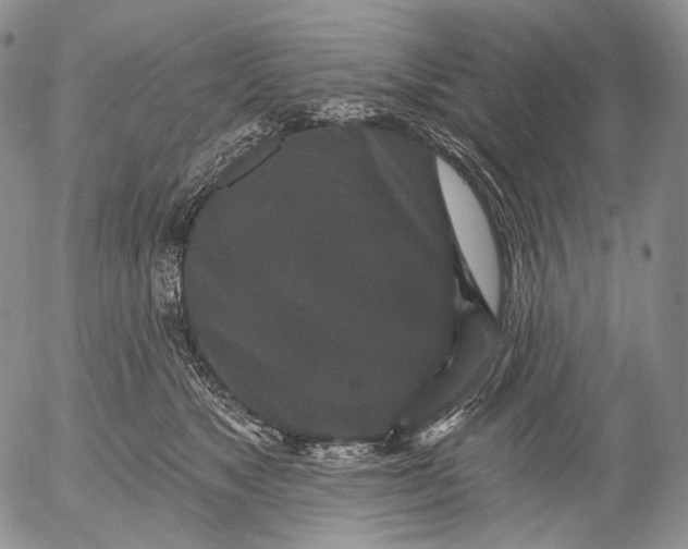 X0000052980517200507291555