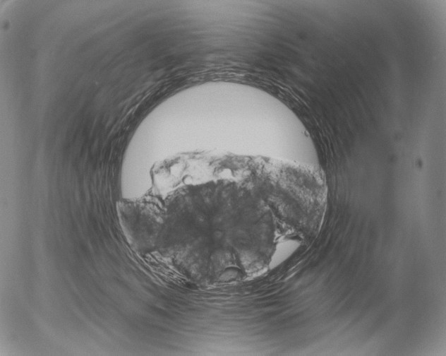 X0000052980519200507291555