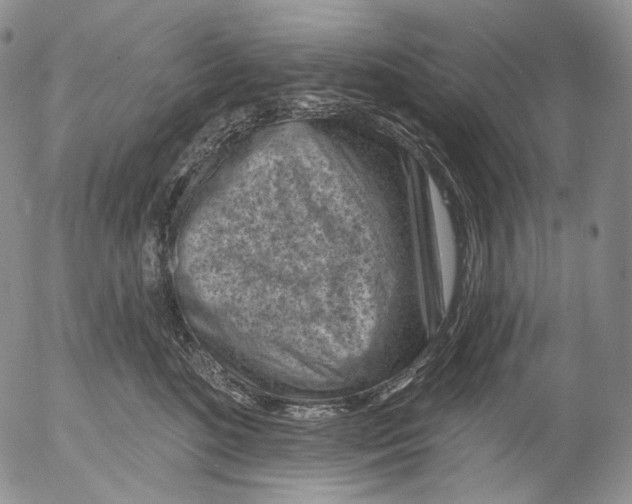 X0000052980520200507291555