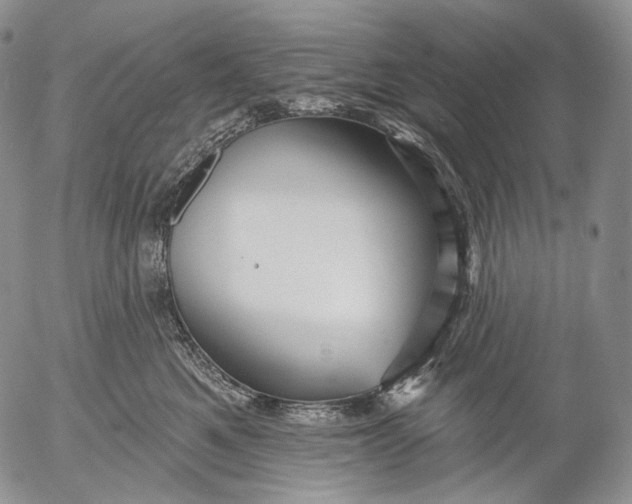 X0000052980521200507291555