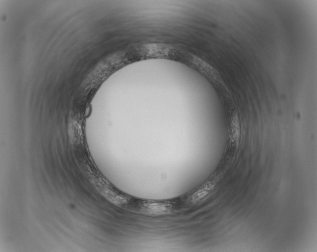 X0000052980522200507291555