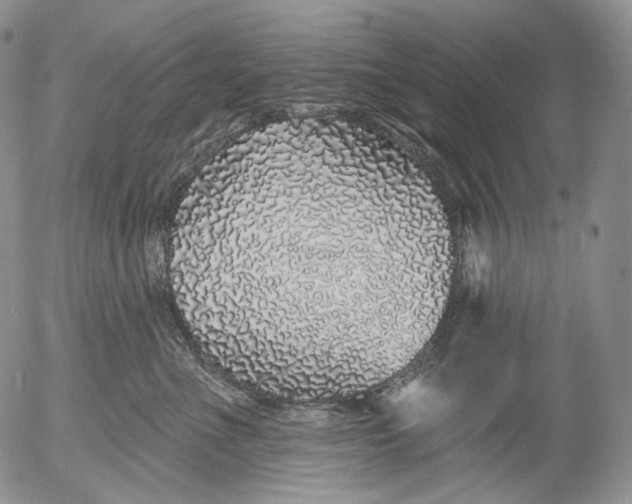 X0000052980523200507291555