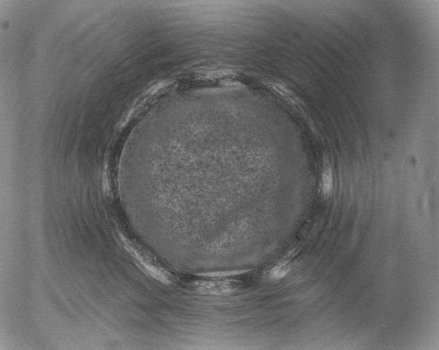 X0000052980524200507291555