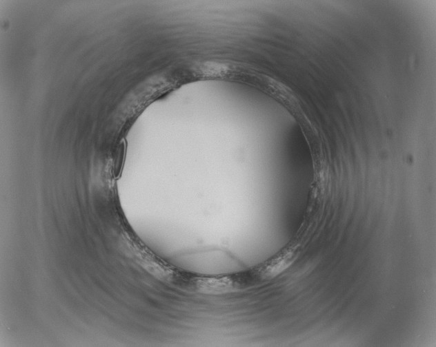 X0000052980525200507291555