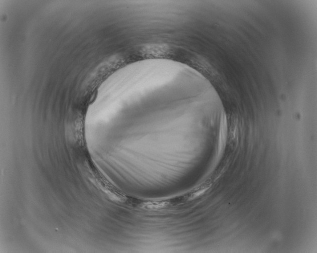 X0000052980526200507291555