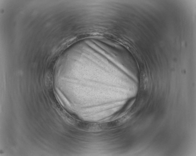 X0000052980527200507291555