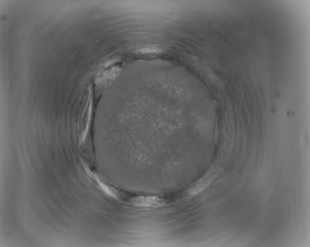 X0000052980528200507291555