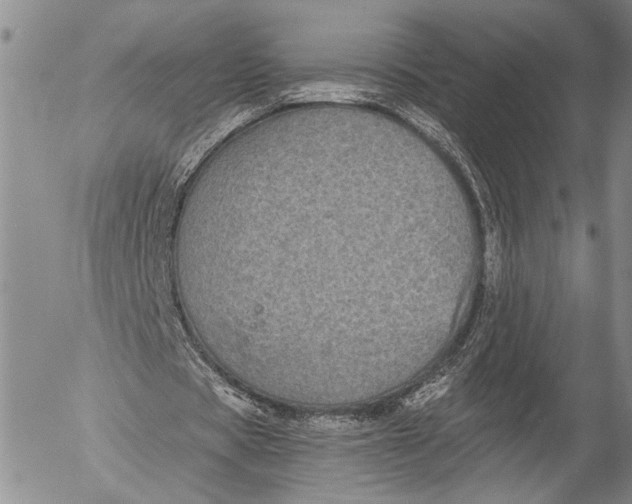 X0000052980529200507291554