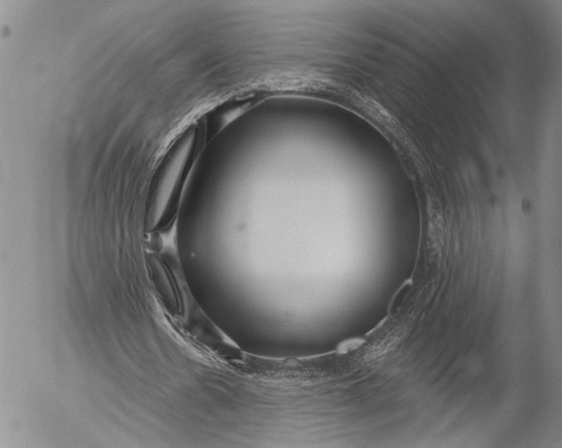 X0000052980530200507291554