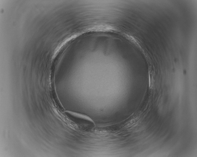 X0000052980531200507291554