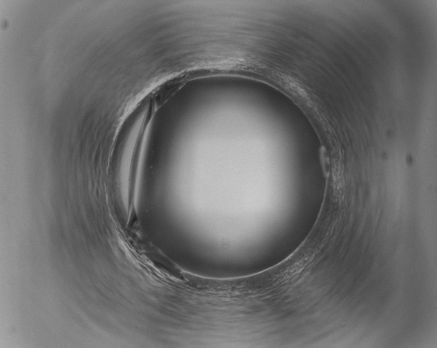 X0000052980532200507291554