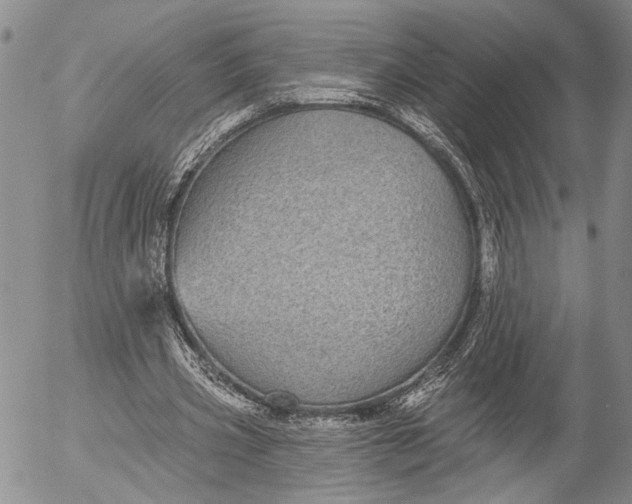 X0000052980533200507291554