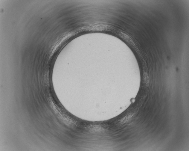 X0000052980534200507291554