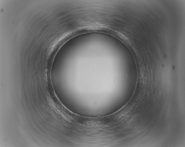 X0000052980535200507291554