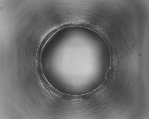 X0000052980536200507291554