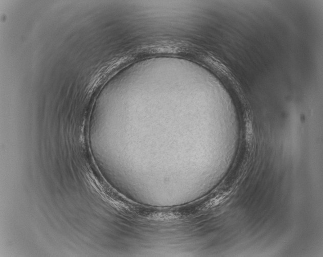 X0000052980537200507291554