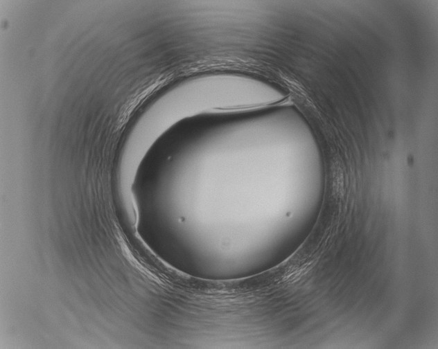 X0000052980538200507291554