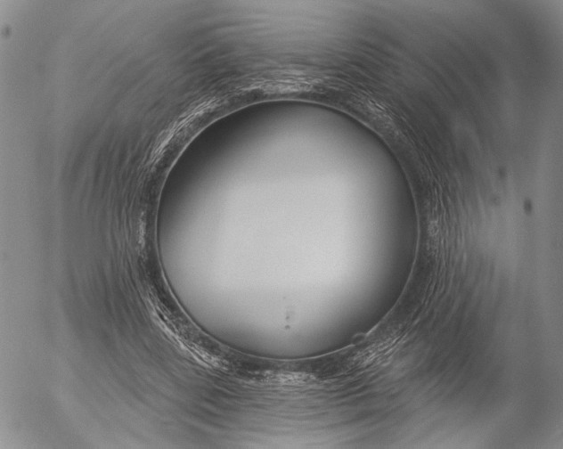 X0000052980539200507291554