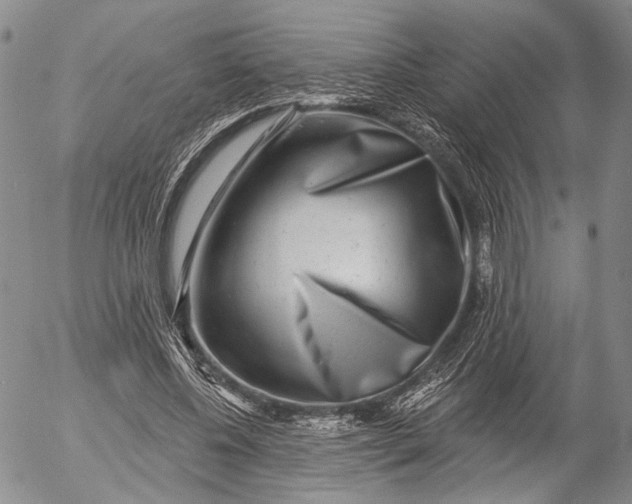 X0000052980540200507291554