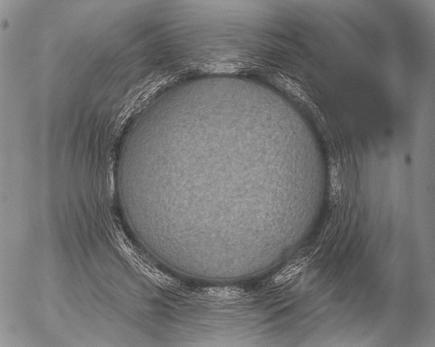 X0000052980541200507291554