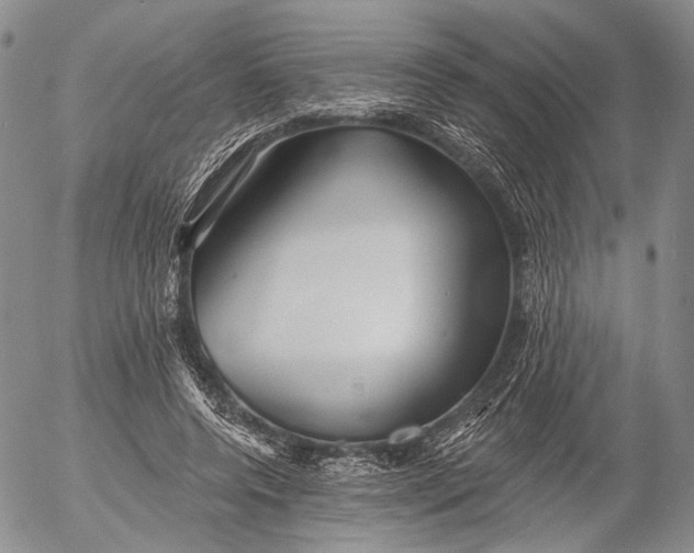 X0000052980544200507291554