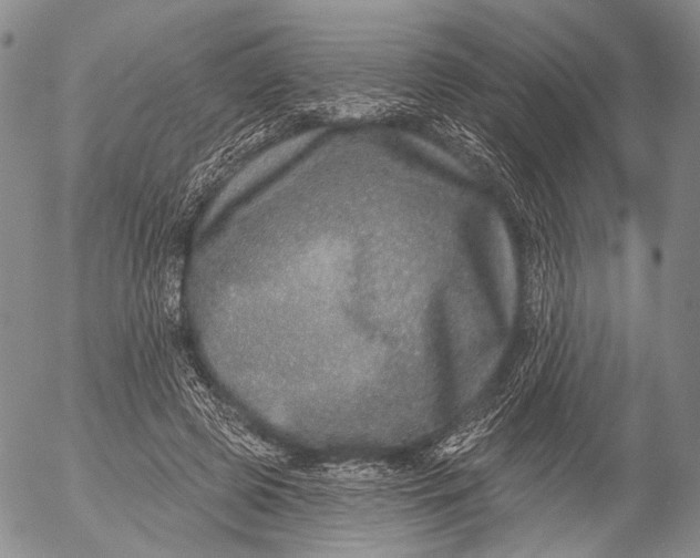 X0000052980545200507291554