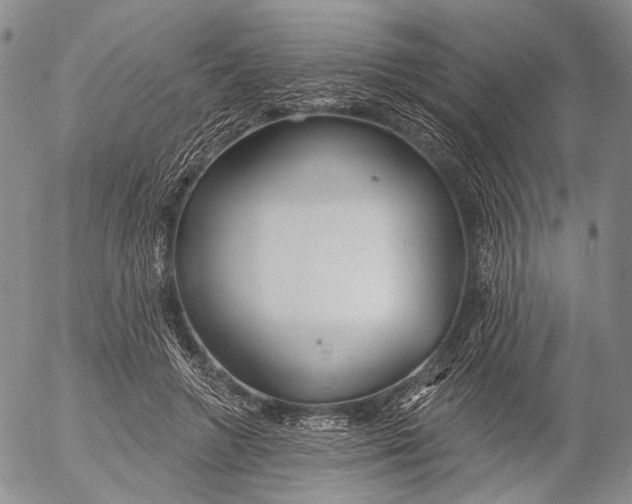 X0000052980546200507291554