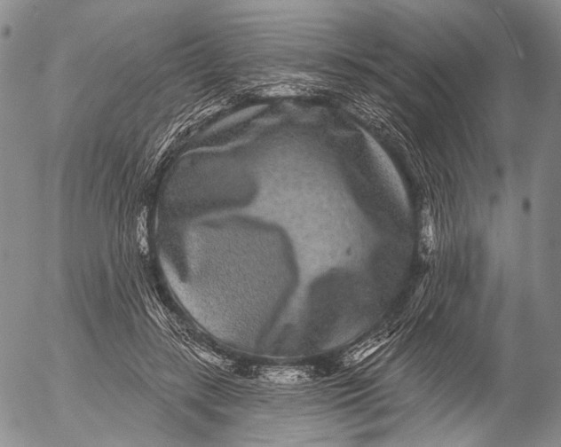 X0000052980547200507291554