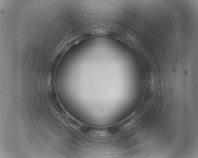 X0000052980548200507291554