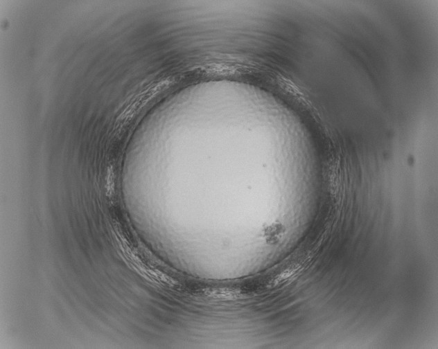 X0000052980549200507291554