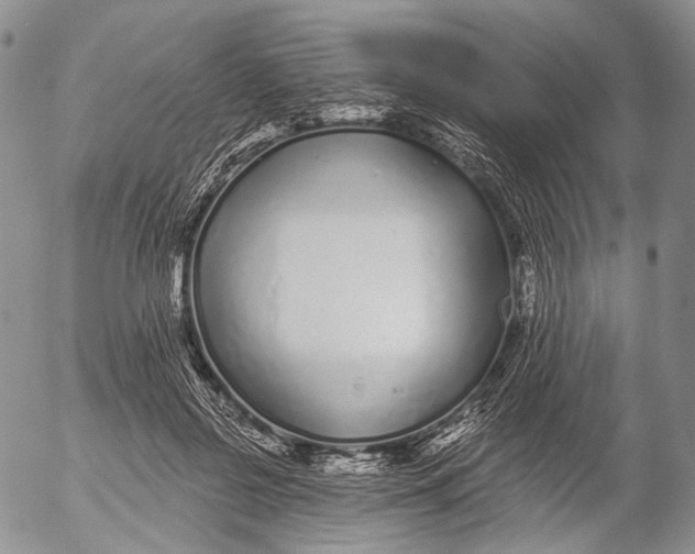 X0000052980550200507291554