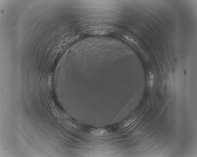 X0000052980551200507291554