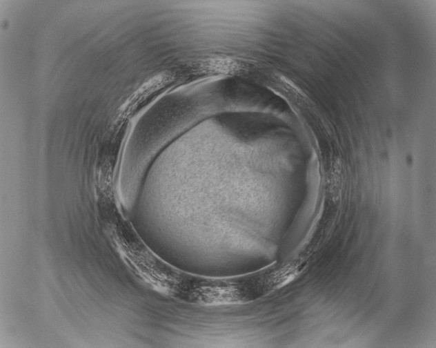 X0000052980552200507291554