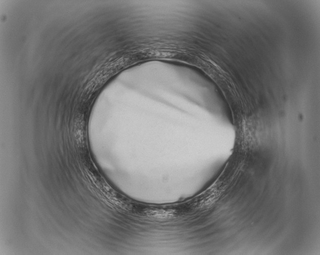 X0000052980553200507291554