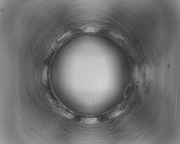 X0000052980554200507291554