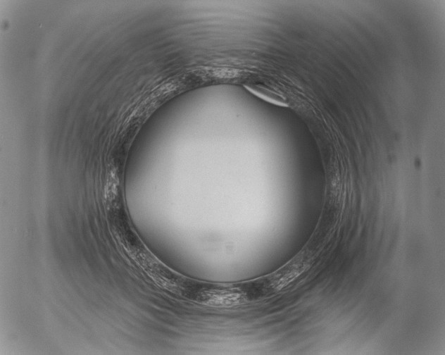 X0000052980555200507291554