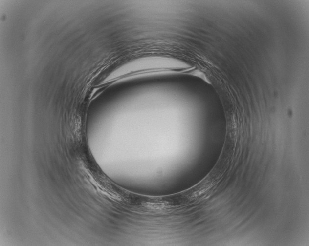 X0000052980556200507291554