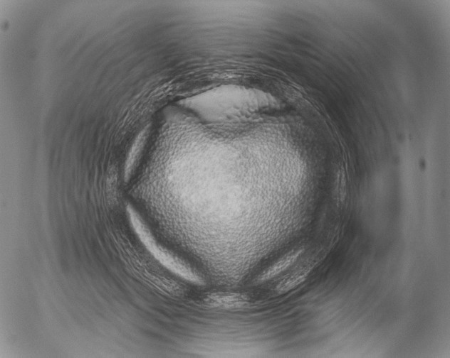 X0000052980557200507291554