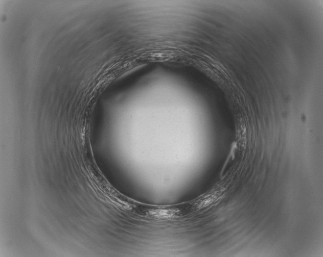 X0000052980558200507291554