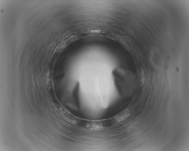 X0000052980559200507291554