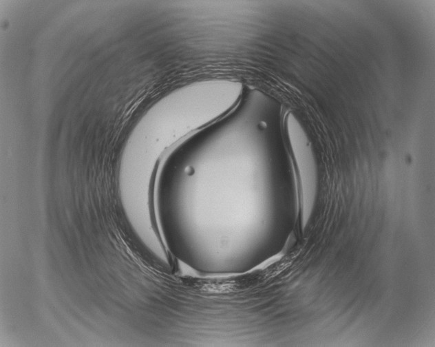 X0000052980560200507291554